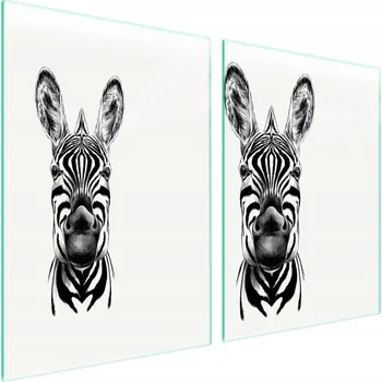 Obraz Skleněná ochranná deska na sporák 2x45x52 Zebra