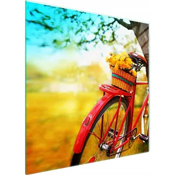 Obraz Skleněná ochranná deska na sporák 50x52 Kolo