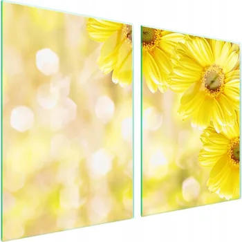 Obraz Skleněná ochranná deska na sporák 2x45x52 Květina