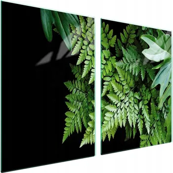 Obraz Skleněná ochranná deska na sporák 2x45x52 List