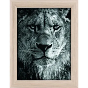 Obraz Jednoduchý Rámeček Goldbuch 23 x 18 cm