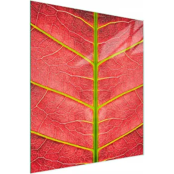 Obraz Krájecí deska TMK ArtDeko sklo 1 ks