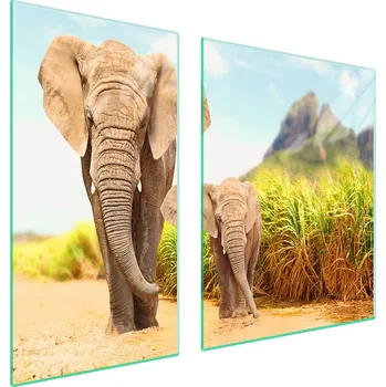 Obraz Skleněná ochranná deska na sporák 90x52 Slon