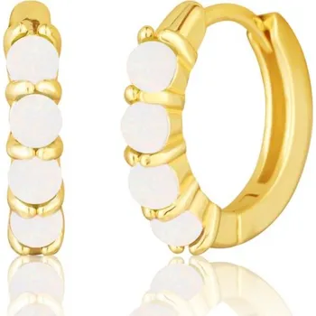 Náušnice Náušnice JVD SVLE3074XH2G100 stříbrné