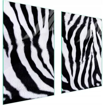 Obraz Skleněná ochranná deska na sporák 65x52 Zebra