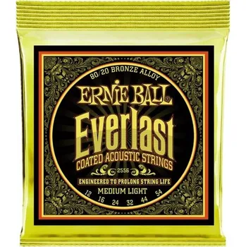 Strunný nástroj ERNIE BALL Everlast 80/20 .010/.050