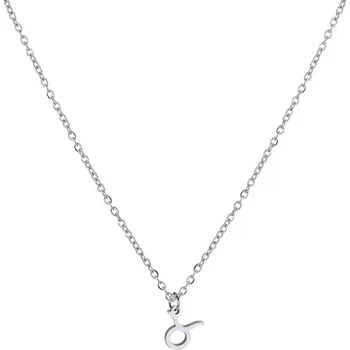 Šperk Šperky4U Ocelový náhrdelník, znamení horoskopu - OPD0350-11