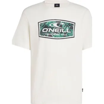 Pánské tričko Pánské tričko O'Neill GRAPHIC XL Bílá, Tmavě zelená, Černá