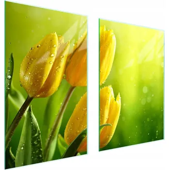 Obraz Skleněná ochranná deska na sporák 65x52 Květina