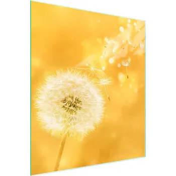 Obraz Krájecí deska TMK ArtDeko sklo 1 ks