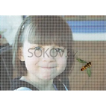 Síť proti hmyzu FESTA Síť okenní samolepící 150 x 180 cm bílá