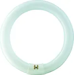 Philips MASTER TL-E Circular Super 80 32W/840 1CT Kruhová zářivka 32W 2300lm