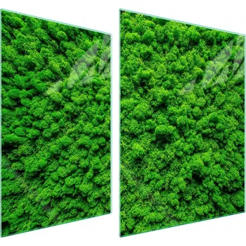 Obraz Skleněná ochranná deska na sporák 70x52 Barva