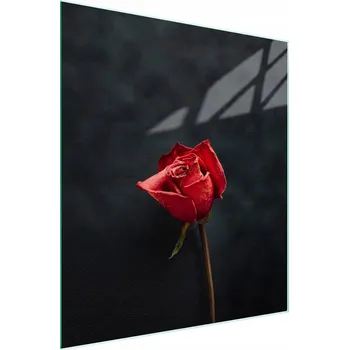 Obraz Krájecí deska TMK ArtDeko sklo 1 ks