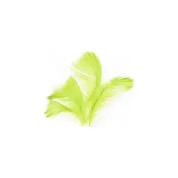 Peří - světle zelené 10g