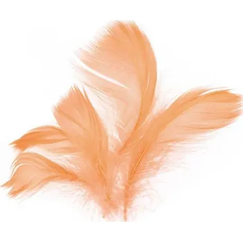 Peří - sv. měděné 10g