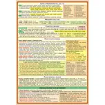 Přehled české gramatiky