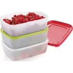 Tescoma Dózy zdravé do mrazničky PURITY 1,5 l, 3 ks