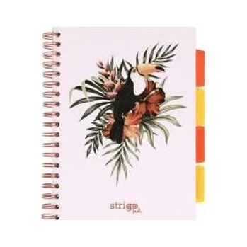 Set školních potřeb Kołozeszyt Pads B5/100K kratka Tropiki Pelikan