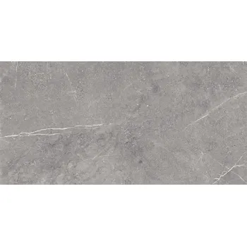 Dlažba Viper Grey mat - dlaždice rektifikovaná 59,7x119,7 šedá 168786