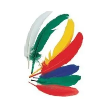 Velikonoční dekorace Indiánská brka střední 15-22 cm, barevný mix