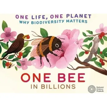 Cizojazyčná kniha One Life, One Planet: One Bee in Billions - Ridley, Sarah