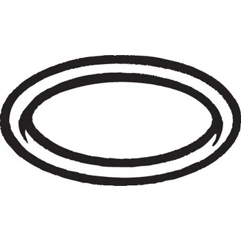 Těsnění výfuku Těsnění, výfukové trubka Bosal 256-100