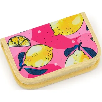 Penál Školní pouzdro PENN 22010 G