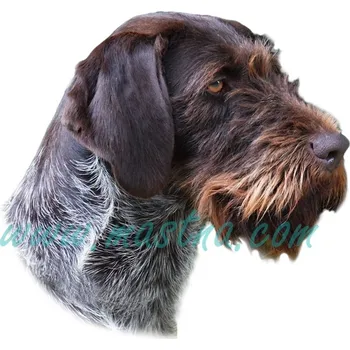 Polep vozidla Ohař německý drátosrstý, fousek, samolepka oboustranná 517