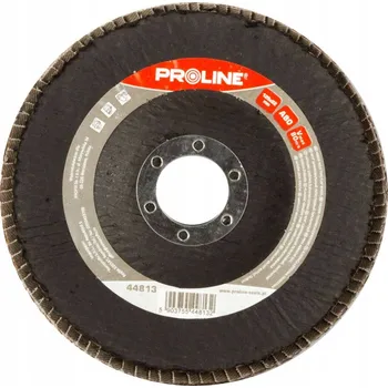 Brusný kotouč PROLINE Lamelový kotouč brusný kotouč 125 mm, hmotnost 120