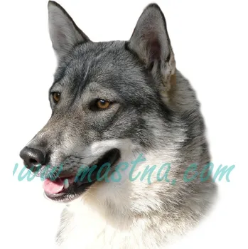 Polep vozidla Západosibiřská lajka šedá, samolepka oboustranná 265