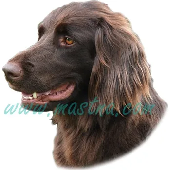 Polep vozidla Ohař německý dlouhosrstý, samolepka oboustranná 501