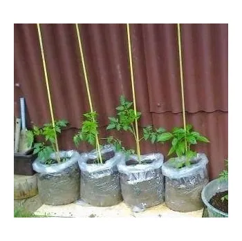 Pytle na odpadky Maják Pytel 55x90cm/0.18mm LDPE průhledný