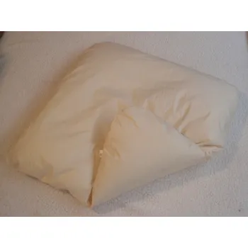 Zavinovačka Pro útulný domov Péřová výplň do zavinovačky dráček 80 x 80 cm