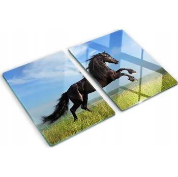Obraz Odolné a Stylové Skleněné Desky s Motivem Černý kůň na louce 2x40x52 cm