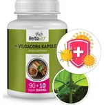 Herbavis Vilcacora Uncaria tomentosa…