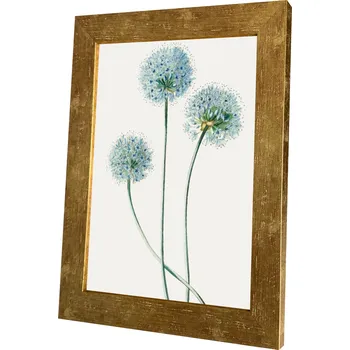 Obraz Rám A4 21x29,7 cm HELA na diplom, certifikát