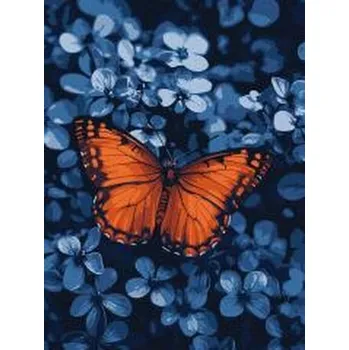 Set školních potřeb Malowanie po numerach - Światło wśród ciemności