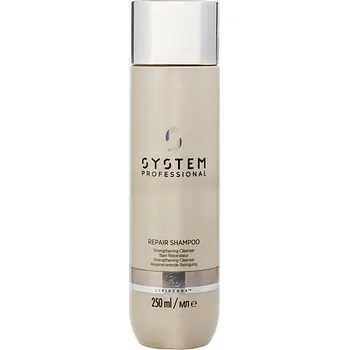 Šampon Hair System Professional Repair šampon pro poškozené vlasy 250 ml 