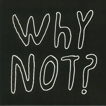 Zahraniční hudba Why Not? Half Japanese Vinylová Deska