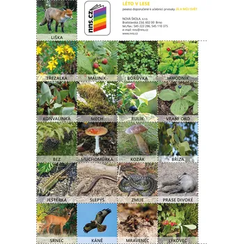 Pexeso Pexeso Léto v lese (Já můj svět 2)