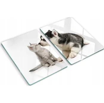 Obraz Kuchyňské Multifunkční Ozdobné Desky Tvrzené Sklo Pes a kočka 2x40x52 cm