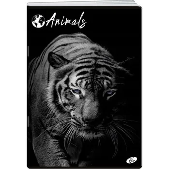 Sešit A5 s linkami Elisa, 60 listů