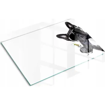 Obraz Kuchyňská Multifunkční Dekorativní Skleněná Deska Pes s Martini 60x52 cm