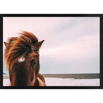 Obraz Plakát Darovanému koni se na zuby nehledí v rámu 72,8 x 52,8 cm