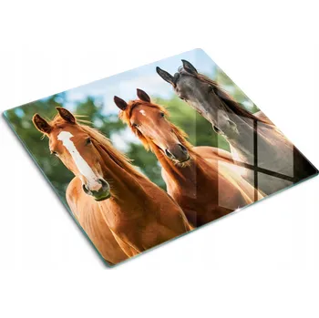 Obraz Multifunkční Dekorační Skleněná Deska do Kuchyně Tři koně 60x52 cm