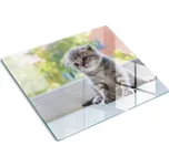 Skleněná kuchyňská deska na krájení s grafikou Malé okénko pro kočky 60x52 cm