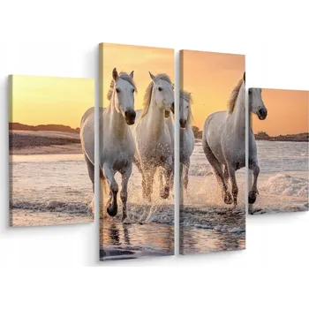 Obraz Obraz Čtyřdílný KONĚ U Moře 3D Efekt 120x90