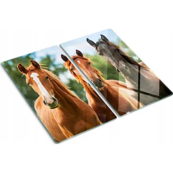 Obraz Multifunkční Dekorační Skleněná Deska do Kuchyně Tři koně 60x52 cm