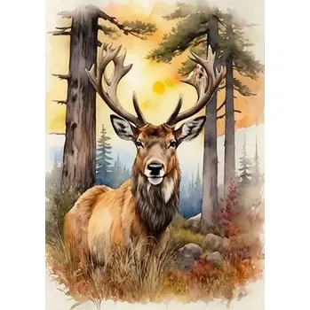 Diamantové malování Norimpex Jelen 30 × 40 cm